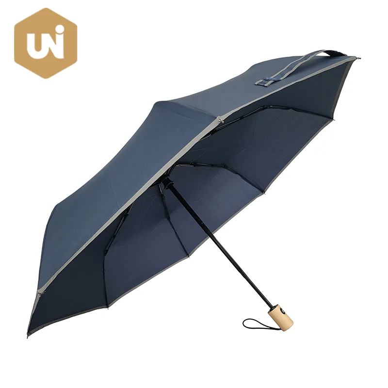 ʻO ka Umbrella Folding Auto Wehe a Pani