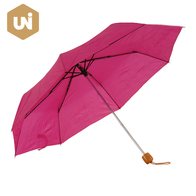 Umbrella Portable